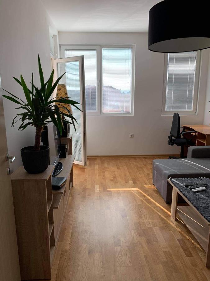Apartman Aleksic Ni Eksteriør billede