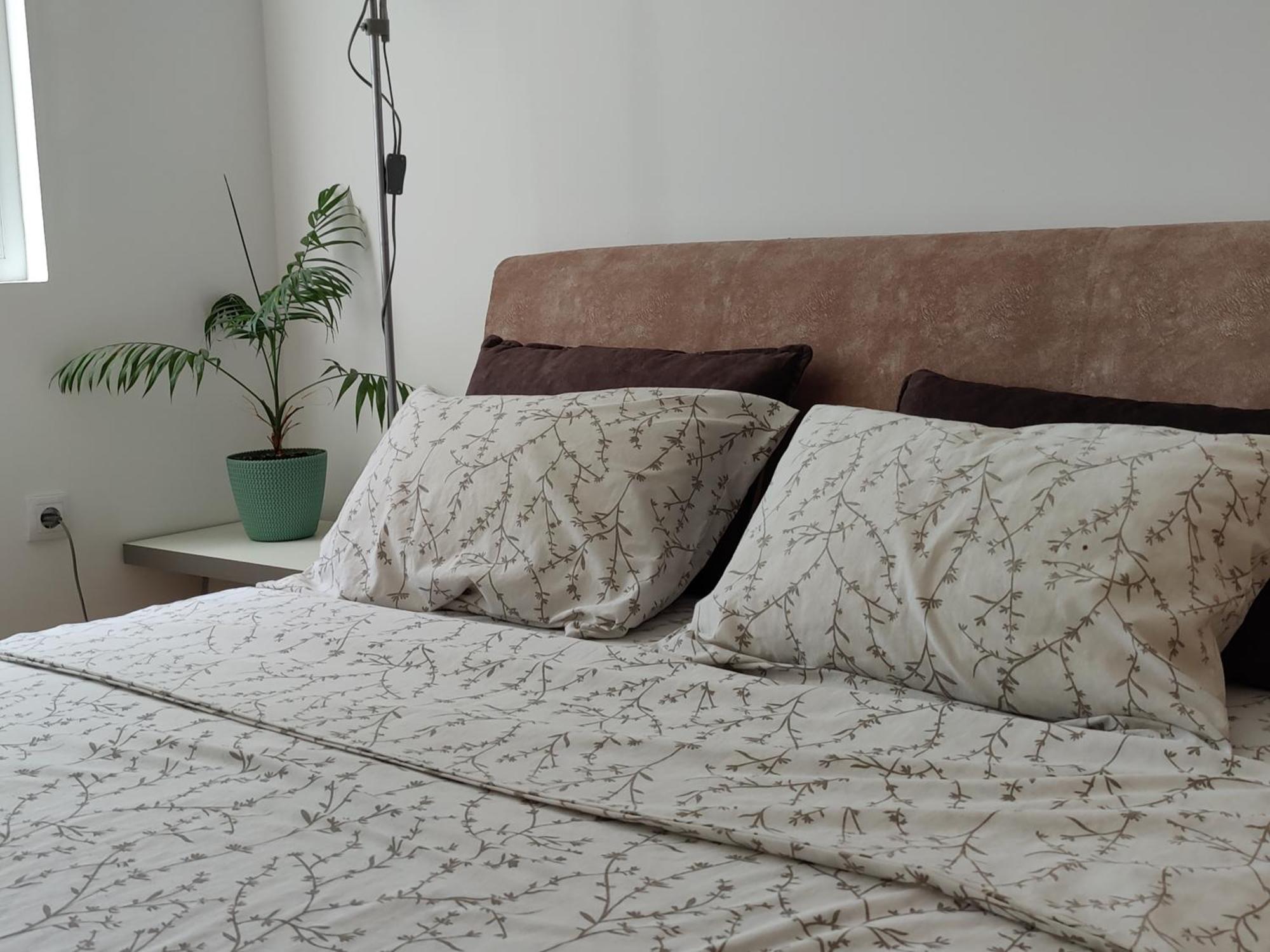 Apartman Aleksic Ni Eksteriør billede